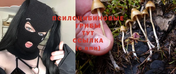 кокаин колумбия Алексин